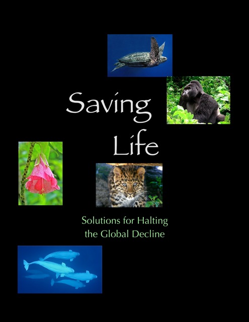 Saving Life